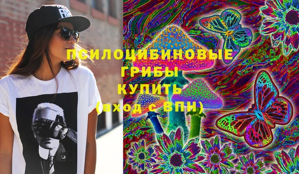 круглые Бородино