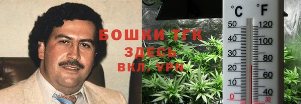 стаф Бугульма