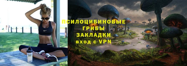 стаф Бугульма