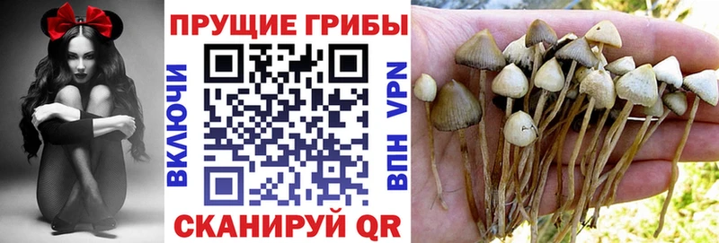 Галлюциногенные грибы мухоморы Губаха